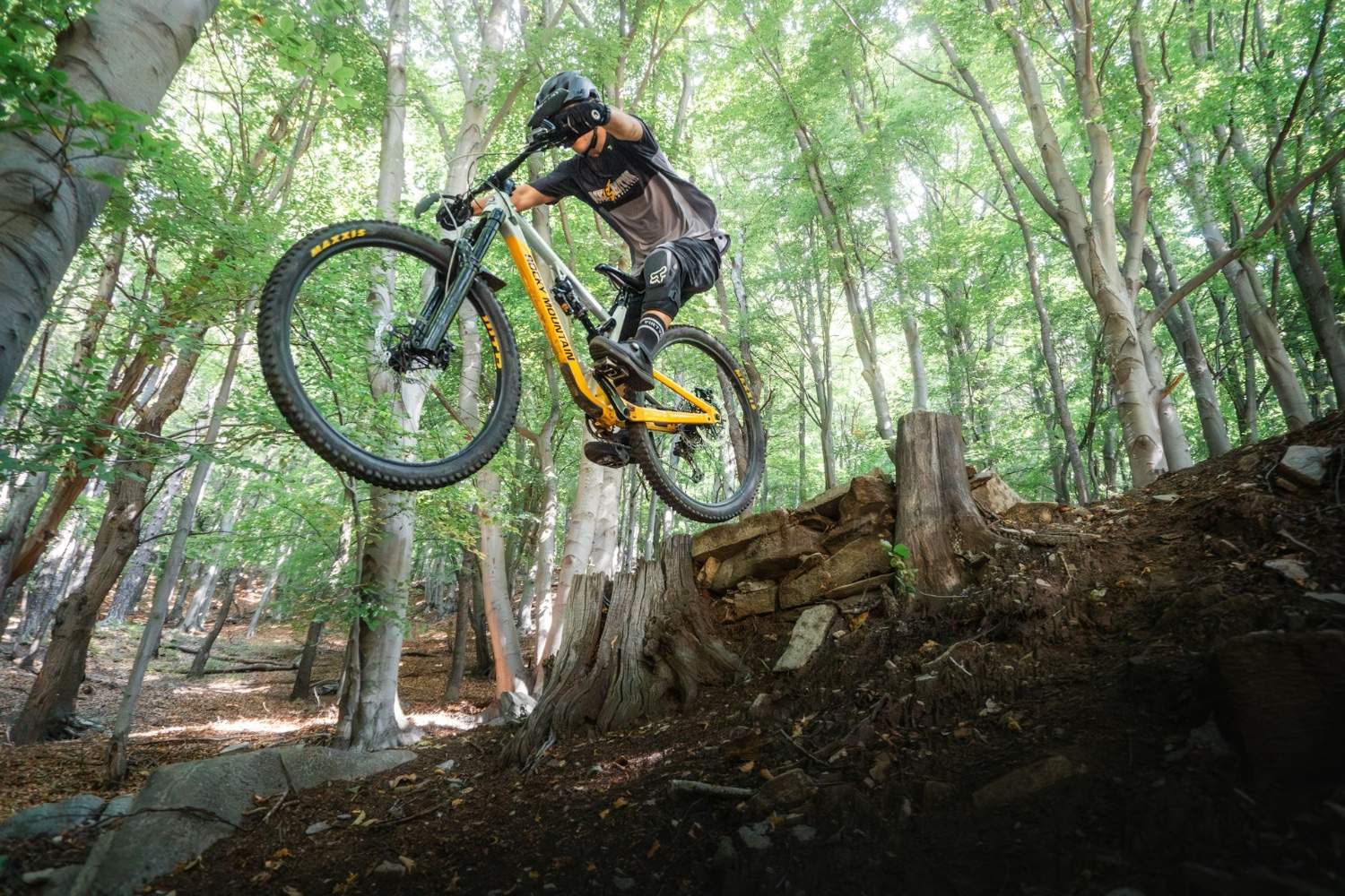 rower górski do lasu